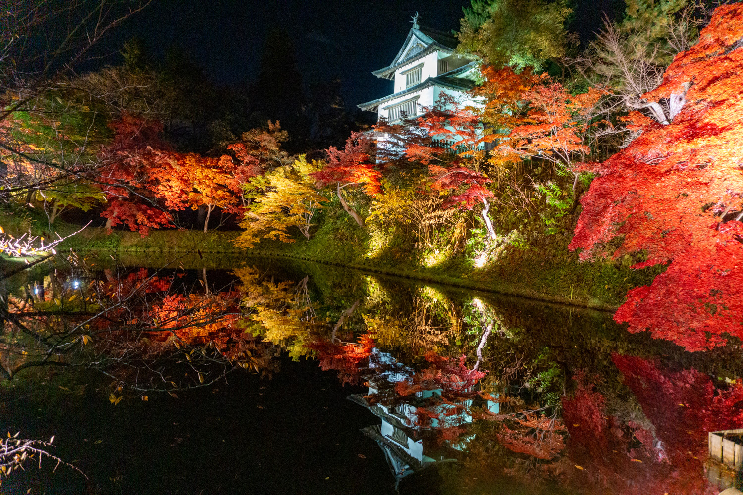 弘前城菊と紅葉まつり（イメージ）／提供元：弘前公園総合情報サイト